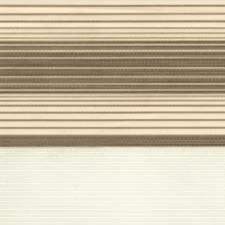 ZEBRA BLINDS | F061-3