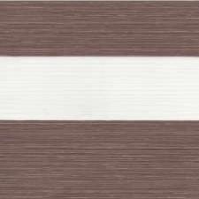 ZEBRA BLINDS | F239-8