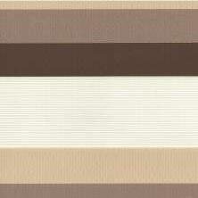 ZEBRA BLINDS | F132-7